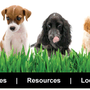 Photo of Yorkshire Animal Hospital