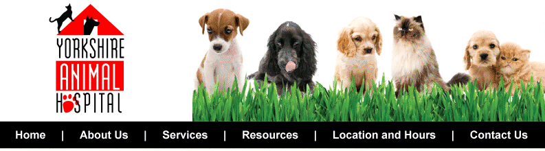 Yorkshire Animal Hospital - pet boarding facility in Webster Groves, MO