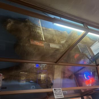 Paul's Tavern - Lots of taxidermy on walls - Bars Near Me - Dubuque, Iowa