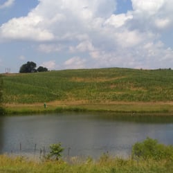 Muskrat Haven Farms - Next to the blueberries