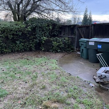 Stuteville Landscaping - Landscaping Near Me