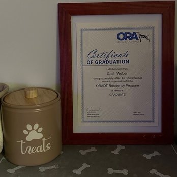 ORA Dog Training - Pet Training Near Me