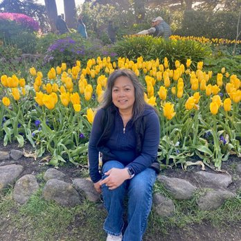 Golden Gate Park Windmills - 04.08.23 yellow tulips symbolizes love, passion... and sometimes jealousy. - Landmarks & Historical Buildings Near Me - San Francisco, California Golden Gate Park Windmills - 04.08.23 yellow tulips symbolizes love, passion... and sometimes jealousy. - Landmarks & Historical Buildings Near Me - San Francisco, California
