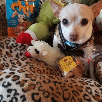 The Doggie Bag - Pnut in her domain with her babies and treats! - Pet Stores Near Me - Roseville, California The Doggie Bag - Pnut in her domain with her babies and treats! - Pet Stores Near Me - Roseville, California