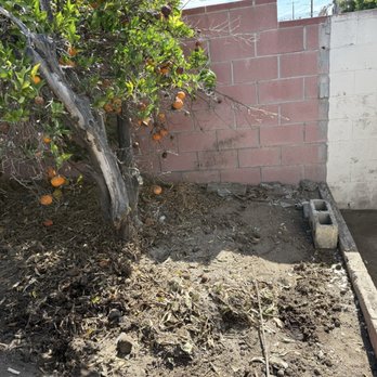 Dump Happy - Yard after clean up - Junk Removal & Hauling Near Me - Los Angeles, California Dump Happy - Yard after clean up - Junk Removal & Hauling Near Me - Los Angeles, California