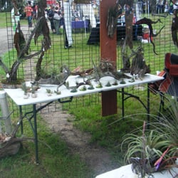 Seminole Country Centennial Festival - Creative art