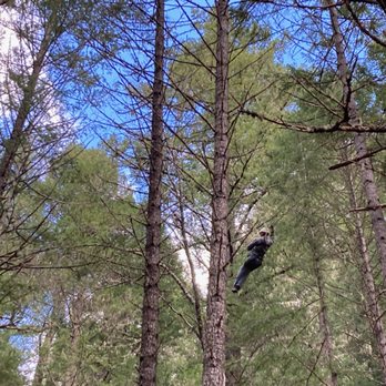 Treehouse Ziplines - Kagan is a natural, so smoothly gliding in the trees. - Ziplining Near Me - Cave Junction, Oregon