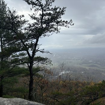 Yonah Mountain Vineyards - Top of Mount Yonah for reference - Wineries Near Me - Cleveland, Georgia Yonah Mountain Vineyards - Top of Mount Yonah for reference - Wineries Near Me - Cleveland, Georgia