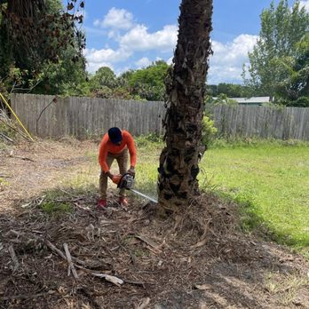 Tree’s R us - a man trimming a tree - Landscaping Near Me