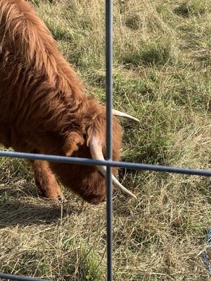 Diehl's Orchard & Cider Mill by null