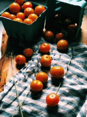 Wheelhouse Catering by null