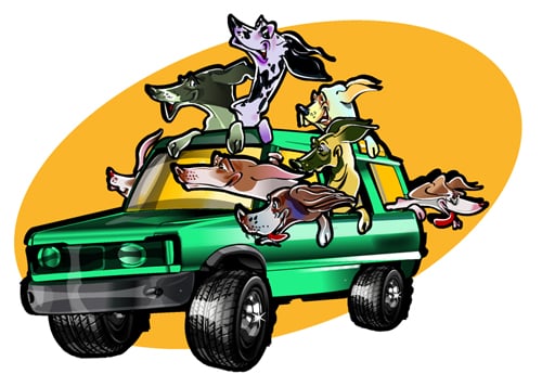 Super Mutts K-9 retreat - pet boarding facility in Apache Junction, AZ