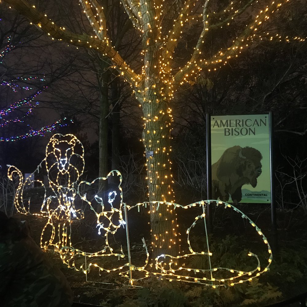 ZooLights - Pride of lights - Zoos Near Me - Washington, DC, District of Columbia