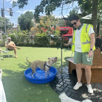 Dog Daze - Social Clubs Near Me - Washington, DC, District of Columbia