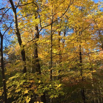 Camp Taylor Campground - Fall colors - Campgrounds Near Me - Columbia, New Jersey Camp Taylor Campground - Fall colors - Campgrounds Near Me - Columbia, New Jersey