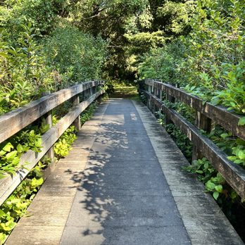 Fogarty Creek State Park - Fogarty Creek - Parks Near Me - Depoe Bay, Oregon Fogarty Creek State Park - Fogarty Creek - Parks Near Me - Depoe Bay, Oregon