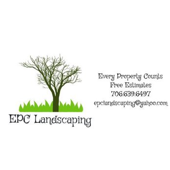 EPC Landscaping - a tree with no leaves - Landscaping Near Me EPC Landscaping - a tree with no leaves - Landscaping Near Me