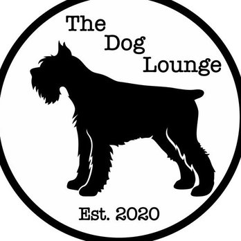 The Dog Lounge - Business logo - Pet Groomers Near Me The Dog Lounge - Business logo - Pet Groomers Near Me
