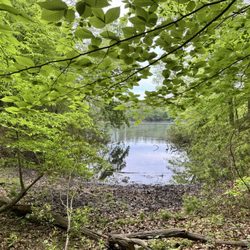 Waller Mill Park