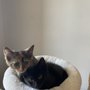 Photo of Raw Paws Pet Food