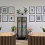 Photo of Atheneum Cannabis