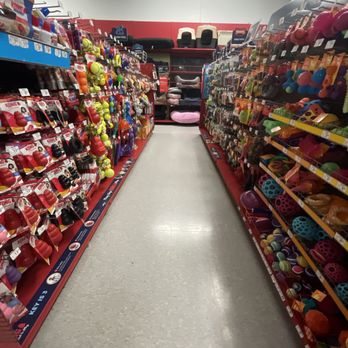 Petco - Pet Training Near Me - Acworth, Georgia