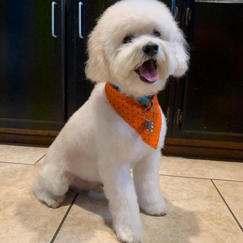 Quality Pet Spot Silver Creek - HAPPY DOGH - Pet Groomers Near Me - San Jose, California Quality Pet Spot Silver Creek - HAPPY DOGH - Pet Groomers Near Me - San Jose, California
