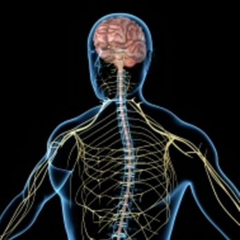 David C McKee, MD - Physician Duluth, MN - Neurologist Near Me - Duluth, Minnesota David C McKee, MD - Physician Duluth, MN - Neurologist Near Me - Duluth, Minnesota