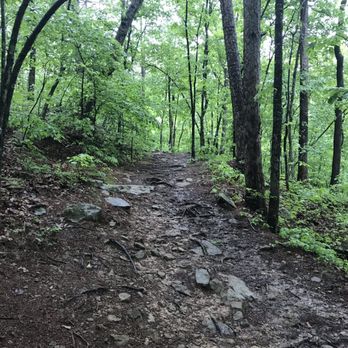 Glory Hole Falls - Example of the trail - Hiking Near Me