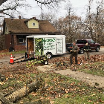 Mason’s Tree Service - Hardworking and efficient - Tree Services Near Me - Homestead, Pennsylvania Mason’s Tree Service - Hardworking and efficient - Tree Services Near Me - Homestead, Pennsylvania