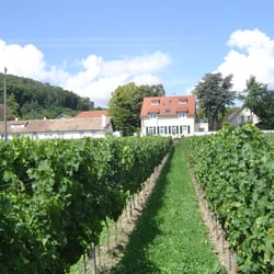 Hotel halbersbacher