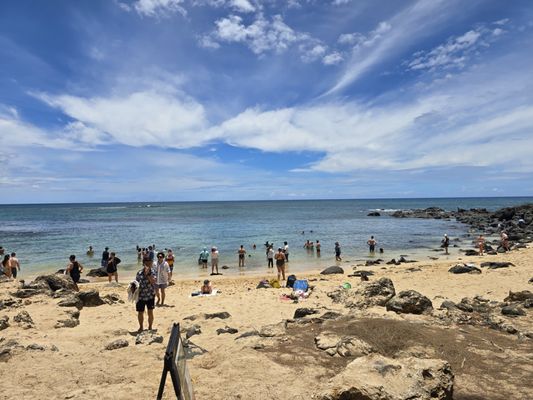 Laniakea Beach by null