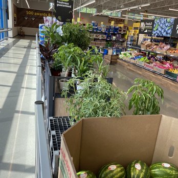 Lidl - Grocery Near Me - Cinnaminson, New Jersey Lidl - Grocery Near Me - Cinnaminson, New Jersey