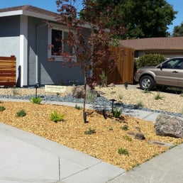 Drought Tolerant