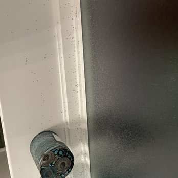 Stone Martin Builders Corporate Office - Drain flies - General Contractors Near Me - Opelika, Alabama Stone Martin Builders Corporate Office - Drain flies - General Contractors Near Me - Opelika, Alabama