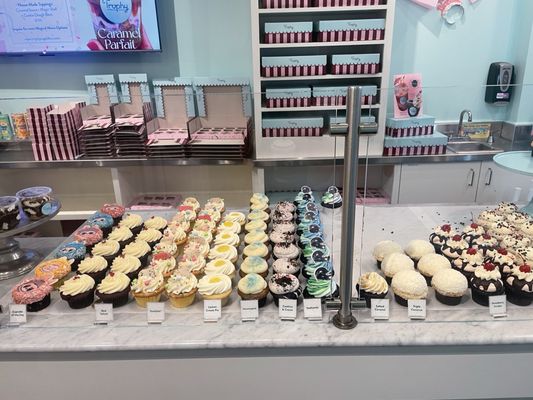 Trophy Cupcakes & Party - University Village by null