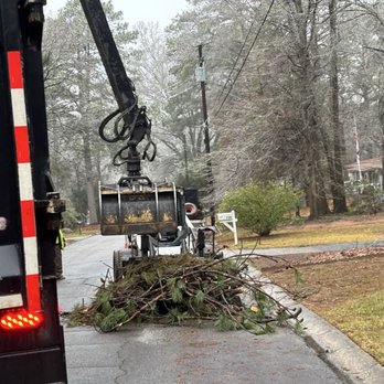 Roble Tree Care - Landscaping Near Me - Senoia, Georgia Roble Tree Care - Landscaping Near Me - Senoia, Georgia