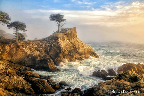 Gallery-by-the-Sea Carmel by null