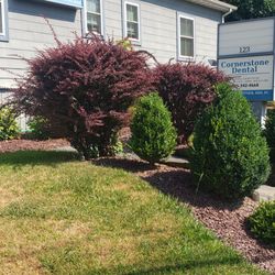 Cornerstone Dental