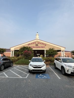 Shady Maple Smorgasbord by null