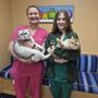 Noank -Mystic Veterinary Hospital