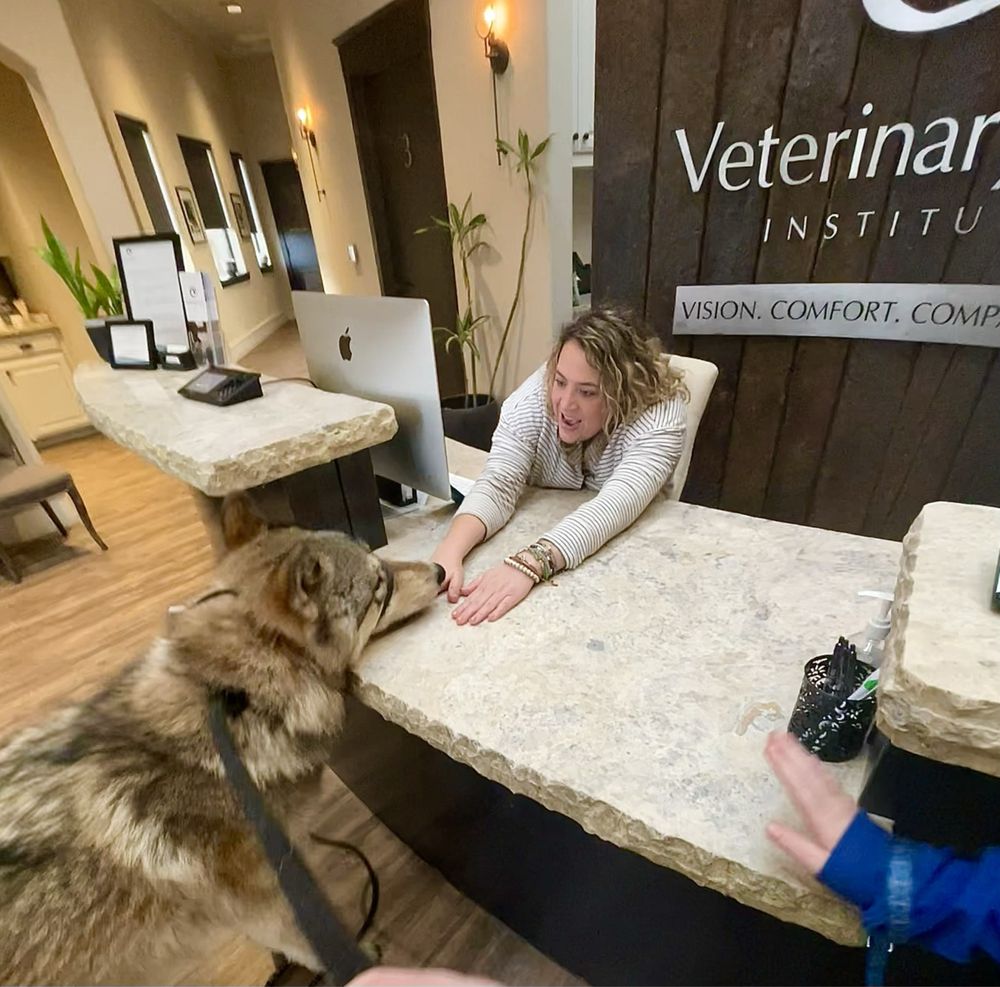 VETERINARY EYE INSTITUTE PLANO 32 Photos & 43 Reviews 2285 Kathryn