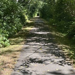 Friends Landing - August 3, 2025 - Lake trail.