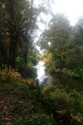 Mount Usher Gardens by null