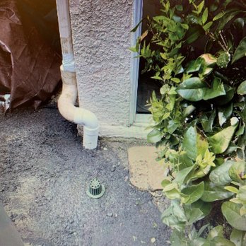 Green Leaf Landscaping - Complete in a little more than two hours. - Tree Services Near Me Green Leaf Landscaping - Complete in a little more than two hours. - Tree Services Near Me