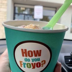 Zoyo Neighborhood Yogurt - My yogurt cup