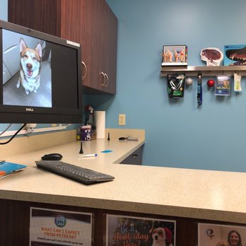 Eastown Veterinary Clinic - Love this place for my fur children! - Veterinarians Near Me - Grand Rapids, Michigan Eastown Veterinary Clinic - Love this place for my fur children! - Veterinarians Near Me - Grand Rapids, Michigan