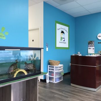 paws purrs and exotics animal hospital