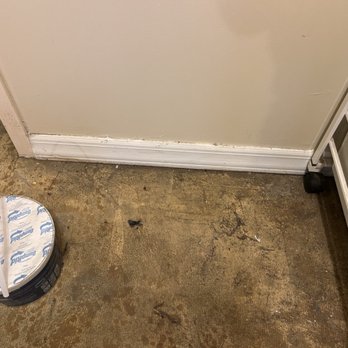 Biotek Mold Specialist NYC - Environmental Testing Near Me - New York, New York Biotek Mold Specialist NYC - Environmental Testing Near Me - New York, New York