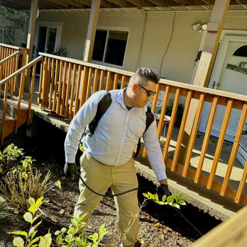High Five Pest Control - Pest Control Near Me - Salem, Oregon